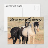 Carte Postale Sauvez nos chevaux sauvages (Devant / Derrière)