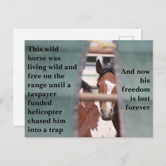 Carte Postale Sauvez nos chevaux sauvages (Devant / Derrière)