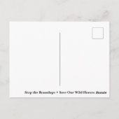 Carte Postale Sauvez nos chevaux sauvages (Dos)