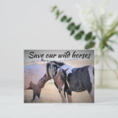 Carte Postale Sauvez nos chevaux sauvages (Debout devant)