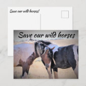 Carte Postale Sauvez nos chevaux sauvages (Devant / Derrière)