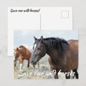 Carte Postale Sauvez nos chevaux sauvages (Devant / Derrière)