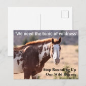 Carte Postale Sauvez nos chevaux sauvages (Devant / Derrière)