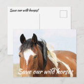 Carte Postale Sauvez nos chevaux sauvages (Devant / Derrière)