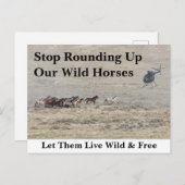 Carte Postale Sauvez nos chevaux sauvages (Devant / Derrière)