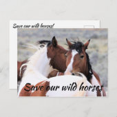 Carte Postale Sauvez nos Chevaux sauvages (Devant / Derrière)