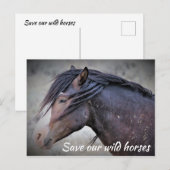 Carte Postale Sauvez nos Chevaux sauvages (Devant / Derrière)