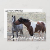 Carte Postale Sauvez nos chevaux sauvages (Devant / Derrière)