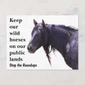 Carte Postale Sauvez nos chevaux sauvages (Devant)
