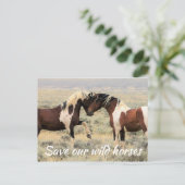 Carte Postale Sauvez nos chevaux sauvages (Debout devant)