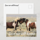 Carte Postale Sauvez nos chevaux sauvages (Devant / Derrière)