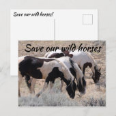 Carte Postale Sauvez nos chevaux sauvages (Devant / Derrière)