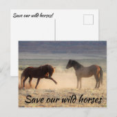 Carte Postale Sauvez nos chevaux sauvages (Devant / Derrière)
