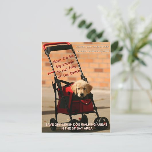 Carte Postale Sauvez Pelosi, membre du Congrès, qui marche avec  (Debout devant)