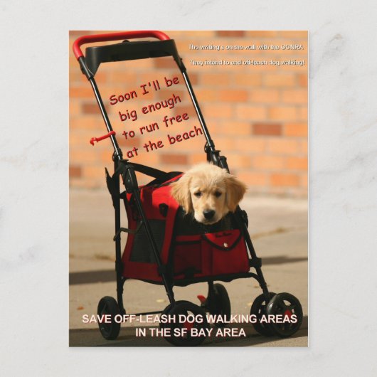 Carte Postale Sauvez Pelosi, membre du Congrès, qui marche avec (Devant)