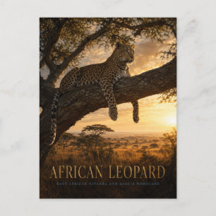 Carte Postale Savane ANIMALS de l'acacia et du léopard africain