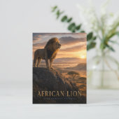 Carte Postale Savane de lions d'Afrique ANIMALS (Debout devant)
