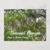 Carte Postale Savannah GA Chênes verts couverts de mousse espagn (Devant)