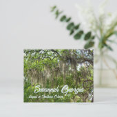 Carte Postale Savannah GA Chênes verts couverts de mousse espagn (Debout devant)
