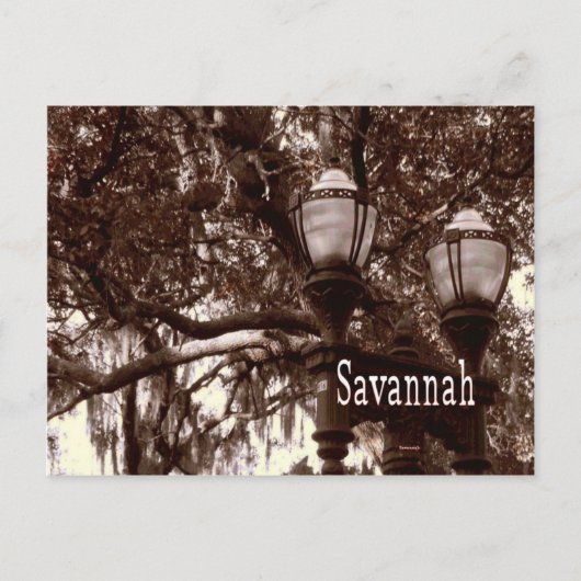 Carte Postale Savannah Georgia (Devant)