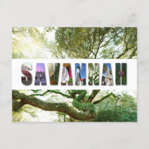 Carte Postale Savannah Georgia Southern Live Oak Tree
