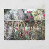 Carte postale Savannah Laurel Grove (Devant)