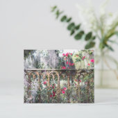 Carte postale Savannah Laurel Grove (Debout devant)