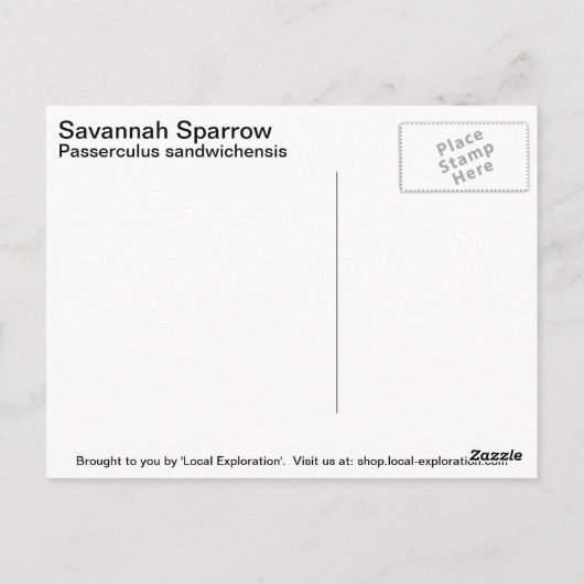 Carte Postale Savannah Sparrow (Dos)