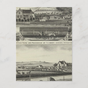 Carte Postale Savannah Stock Farmand Residences, Kansas
