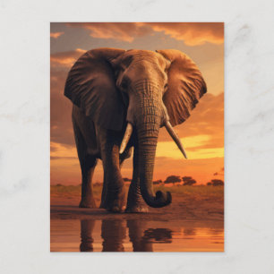 Carte Postale Savannahs Majesty