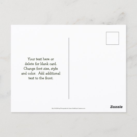 Carte Postale Save The Date Bullfrog Nature (Dos)