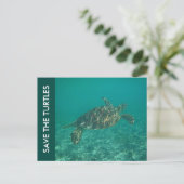 Carte Postale save the turtles (Debout devant)