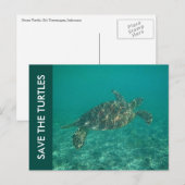 Carte Postale save the turtles (Devant / Derrière)