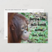 Carte postale Save Wildlife and Rainforest (Devant / Derrière)