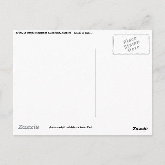 Carte postale Save Wildlife and Rainforest (Dos)