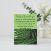 Carte postale Scallions/Oignons verts (Debout devant)