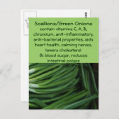 Carte postale Scallions/Oignons verts (Devant / Derrière)