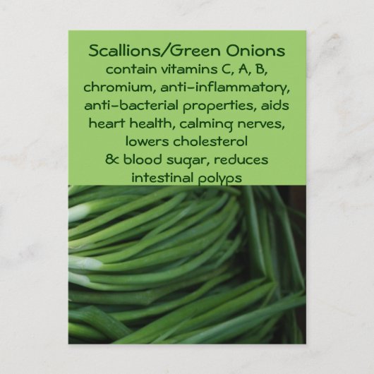 Carte postale Scallions/Oignons verts (Devant)