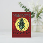 Carte Postale scarabée à longue corne Worcester (Debout devant)