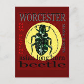 Carte Postale scarabée à longue corne Worcester (Devant)