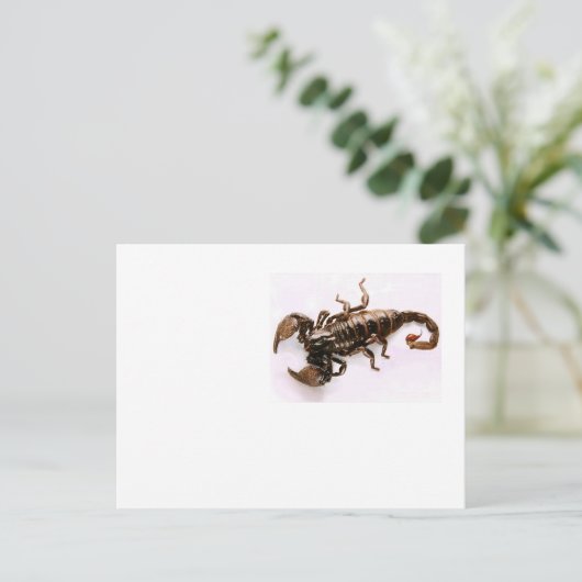 Carte postale Scaremail (Scorpion) (Debout devant)