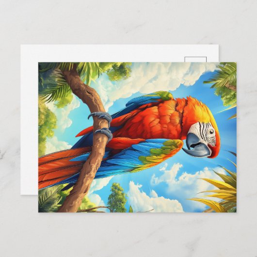 Carte Postale Scarlet macaw (Devant / Derrière)