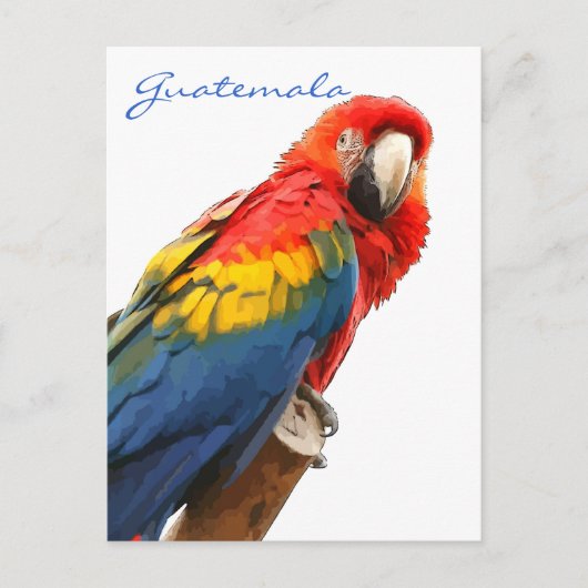 Carte postale Scarlet Macaw Guatemala (Devant)