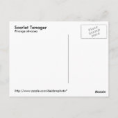 Carte postale Scarlet Tanager (Dos)