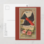 Carte Postale Scarlet Tanager (Devant / Derrière)