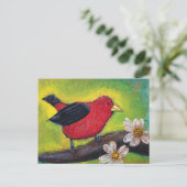 Carte Postale Scarlet Tanager Bird (Debout devant)