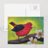 Carte Postale Scarlet Tanager Bird (Devant / Derrière)