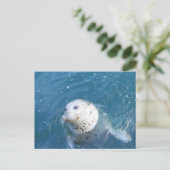 Carte Postale Sceau (Debout devant)