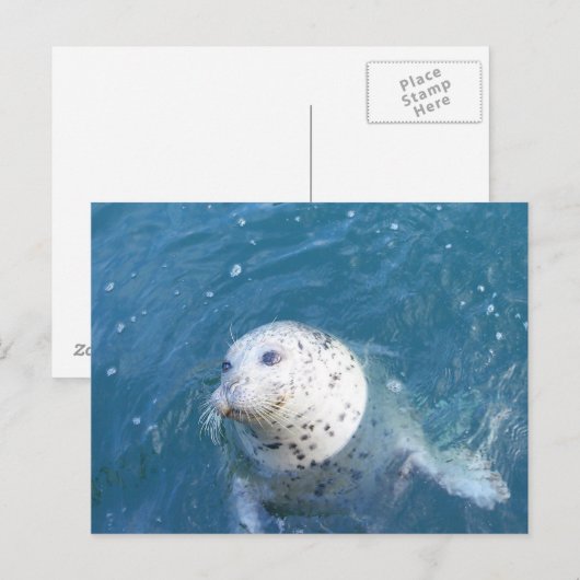 Carte Postale Sceau (Devant / Derrière)