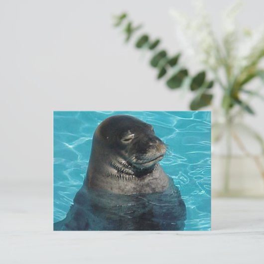 CARTE POSTALE "SCEAU DE DORMIÈRE" (Debout devant)